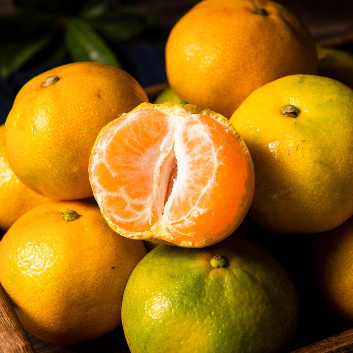 효돈 농협 프리미엄 감귤 (3kg/5kg)