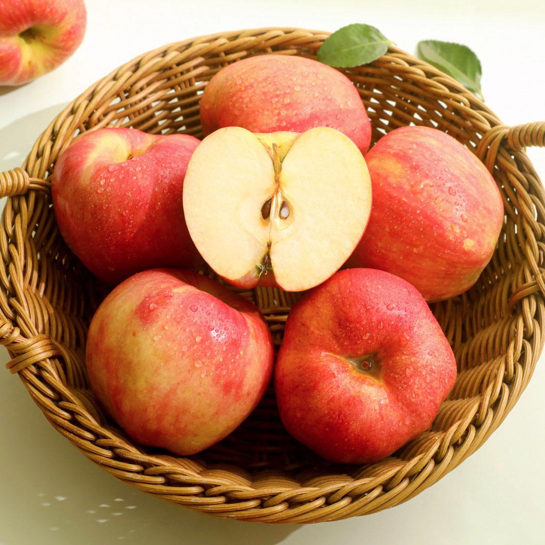 대경사과원예농협 영주사과 3.2kg 선물세트 (11입내)+1kg 추가증정