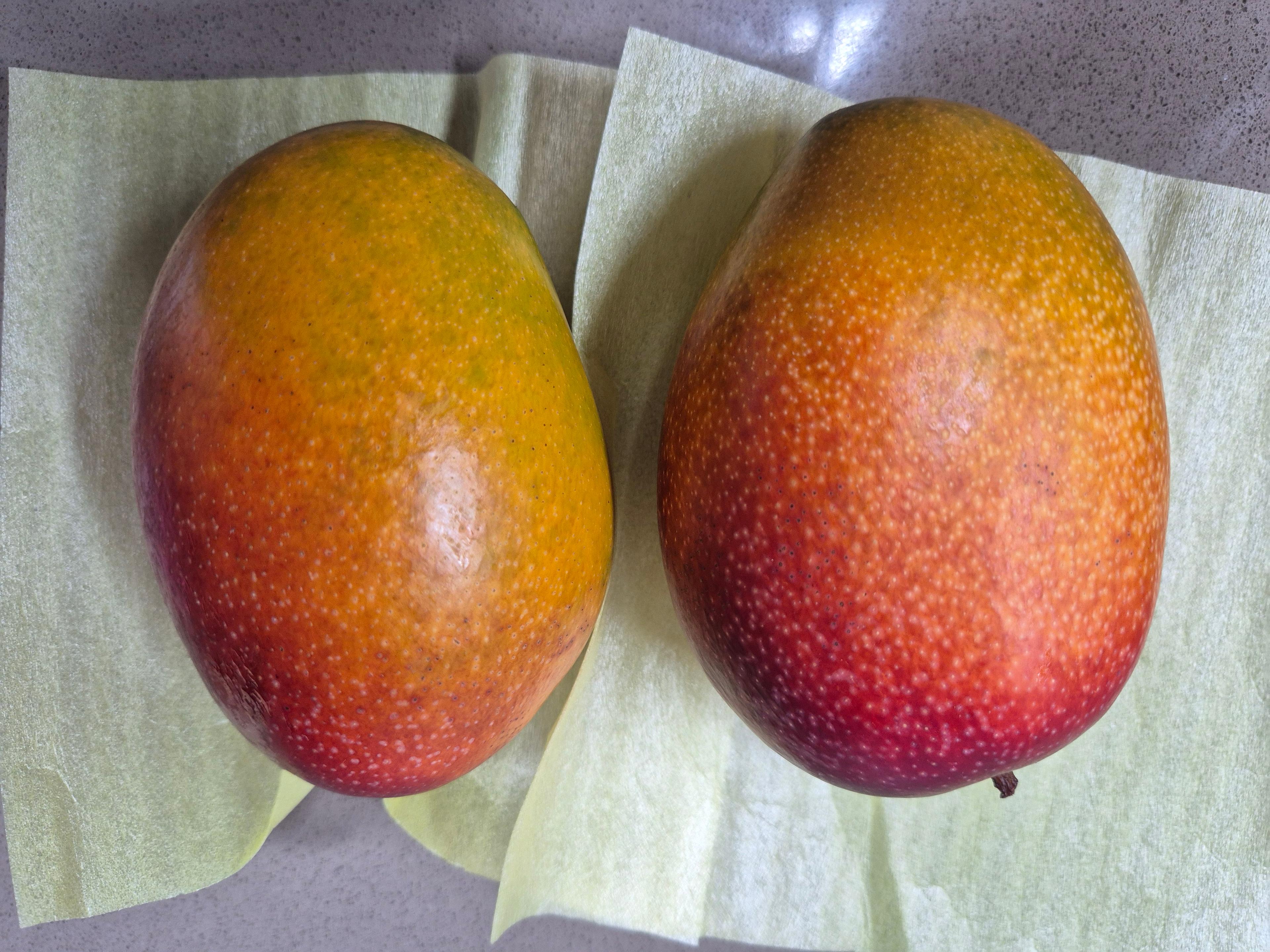 [제주명품] 프리미엄 제주애플망고 2과 이미지