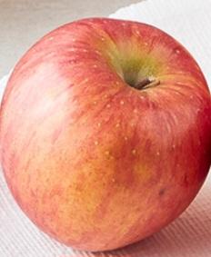 대경사과원예농협 영주사과 3.5kg 선물세트 (10입내) 이미지