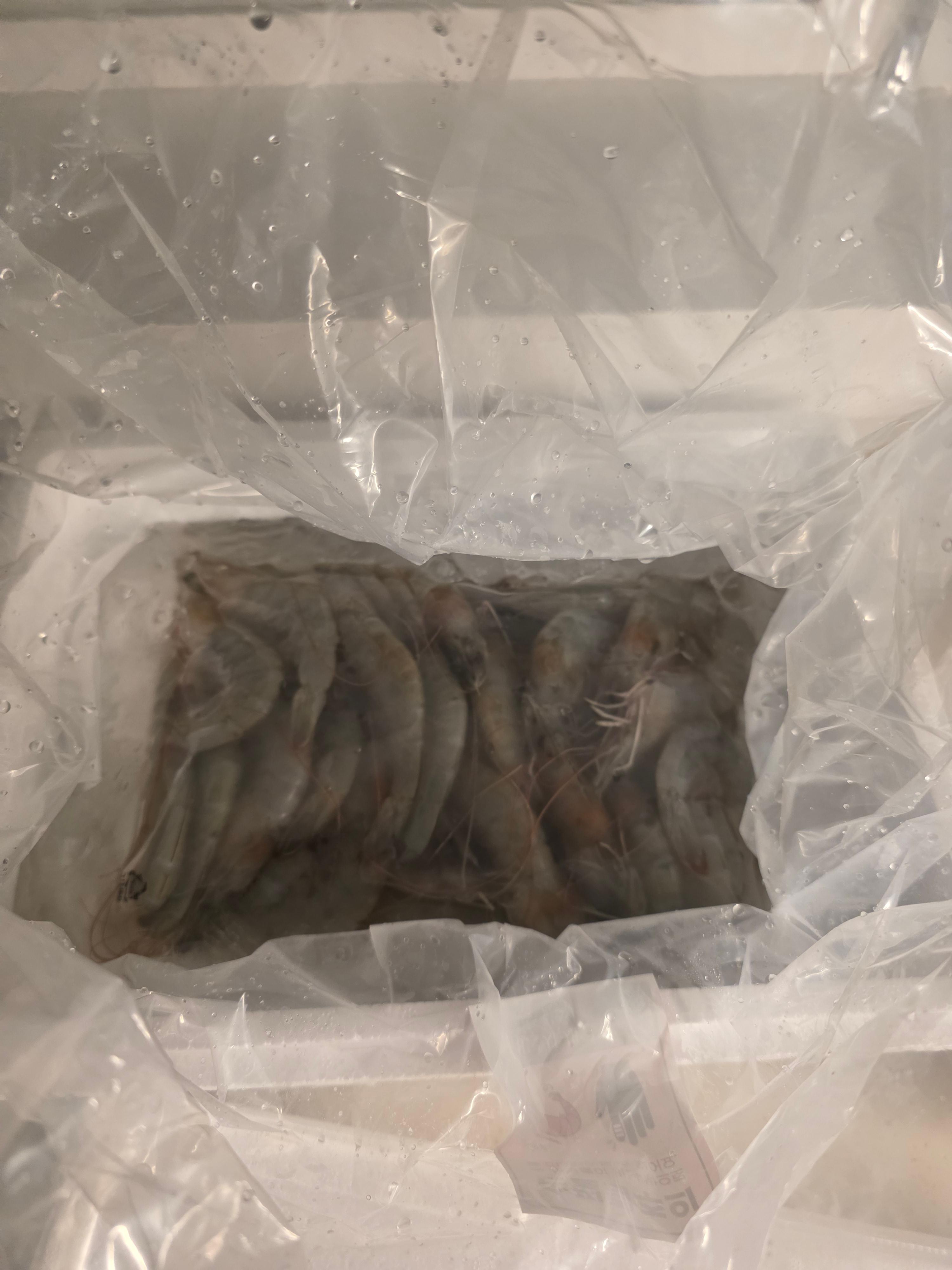 우리바다에서 길러낸 국산 왕새우 1.5kg 이미지