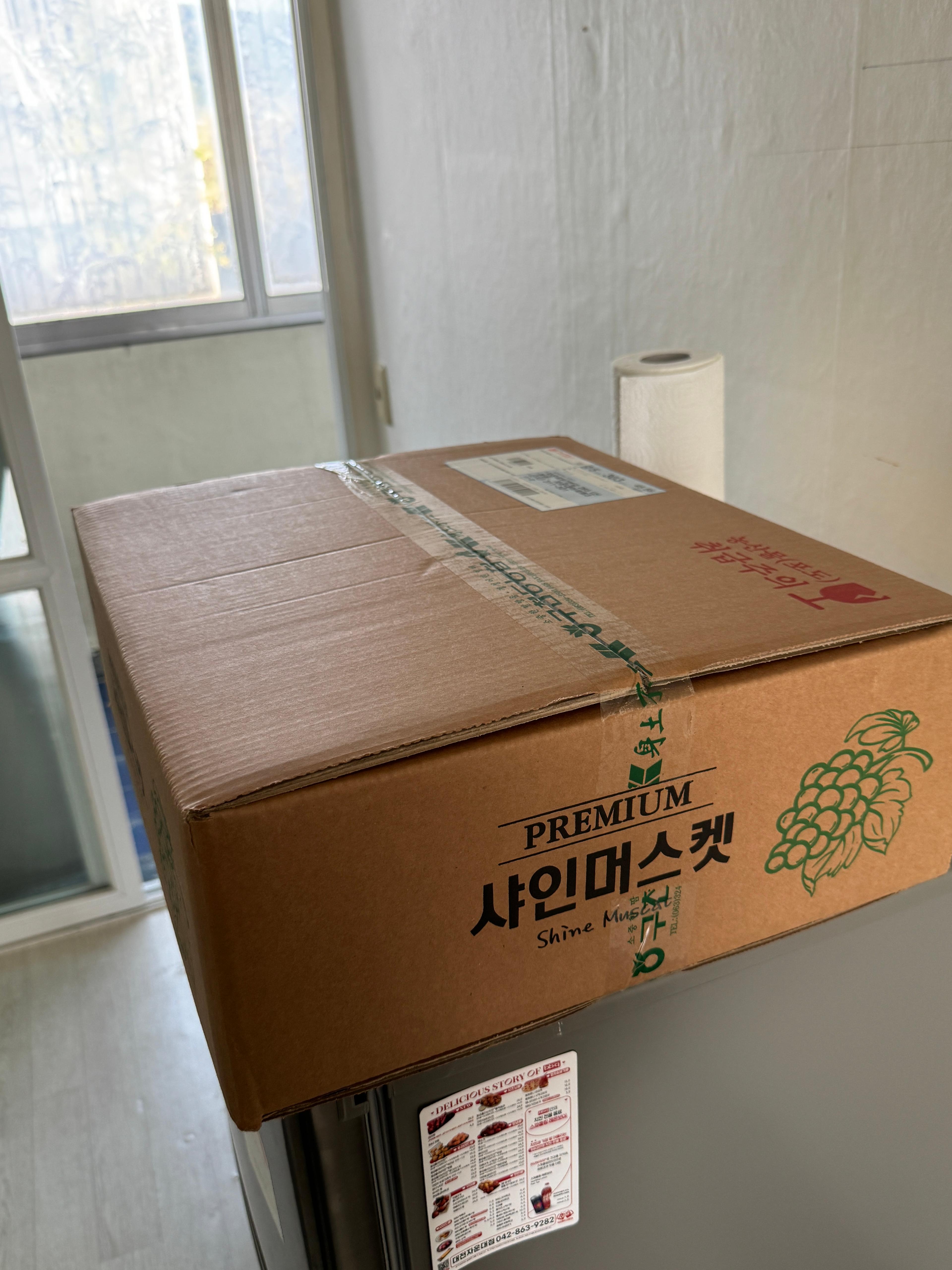 샤인머스켓 3kg 이미지