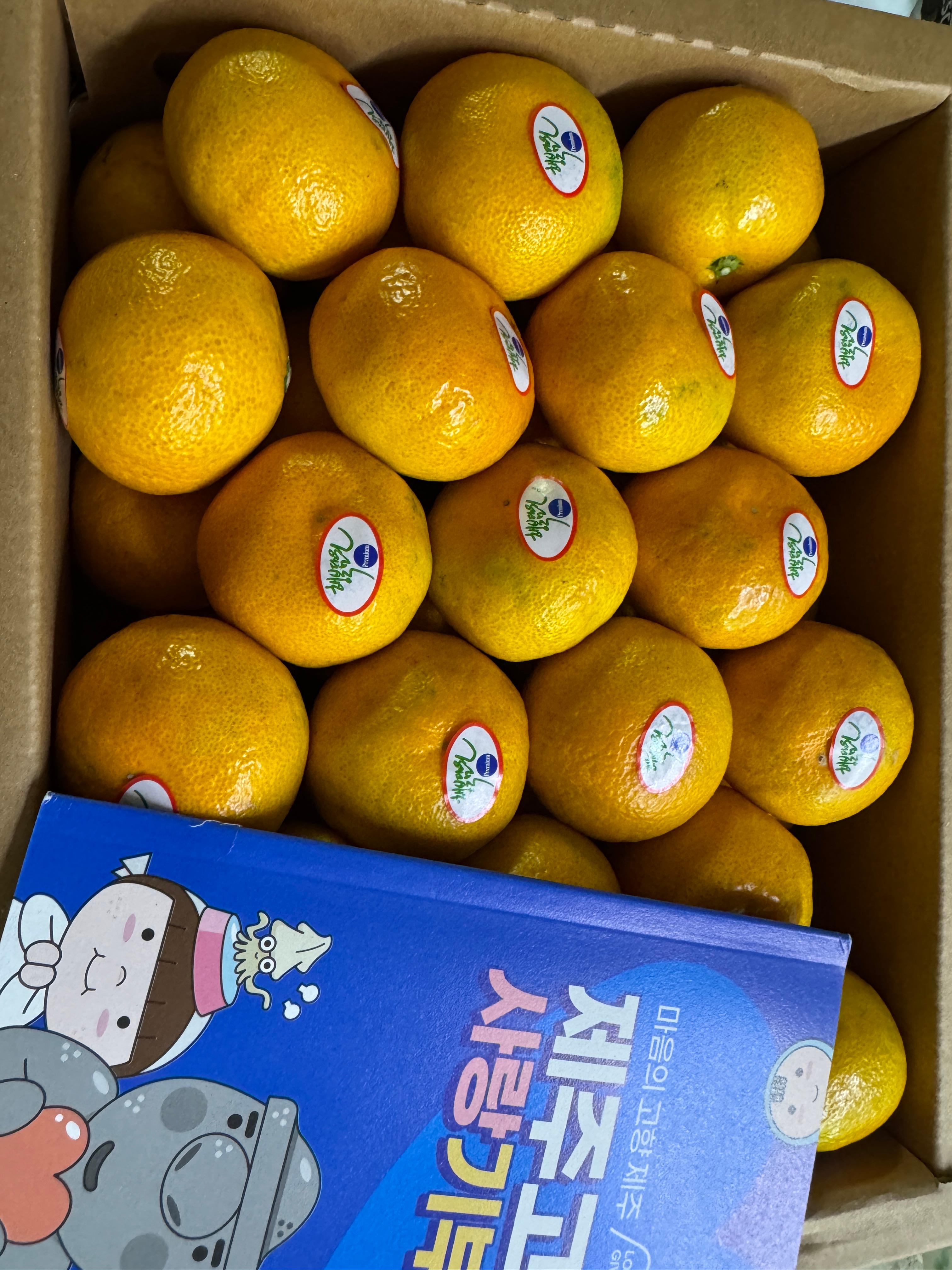 효돈 농협 프리미엄 감귤 (3kg/5kg) 이미지